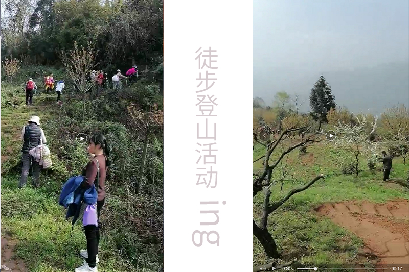 成都新邑航科技有限公司2021團(tuán)建-登山ing